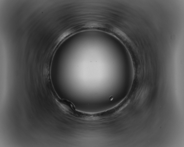 X0000086901321200704161305