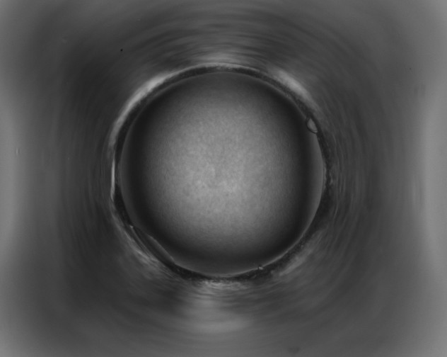 X0000086901323200704161305