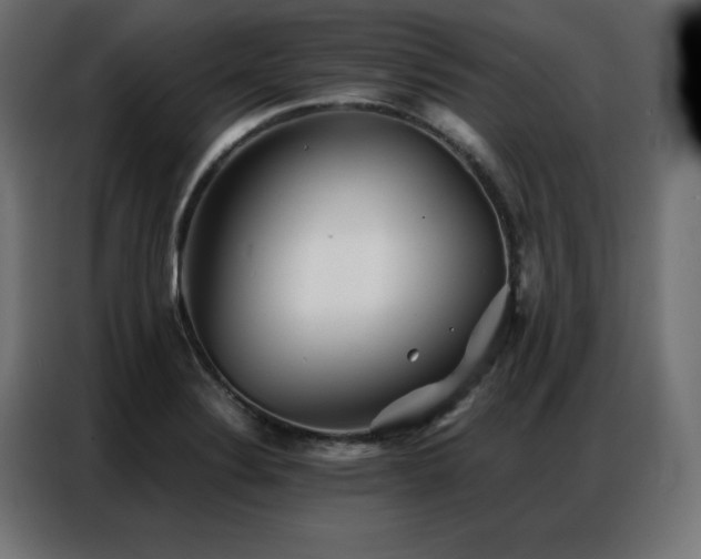 X0000086901324200704161305