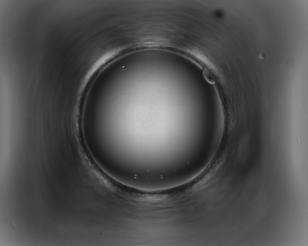 X0000086901325200704161305