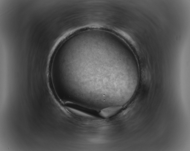 X0000086901327200704161305