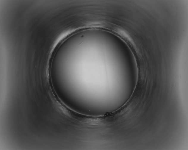 X0000086901328200704161305