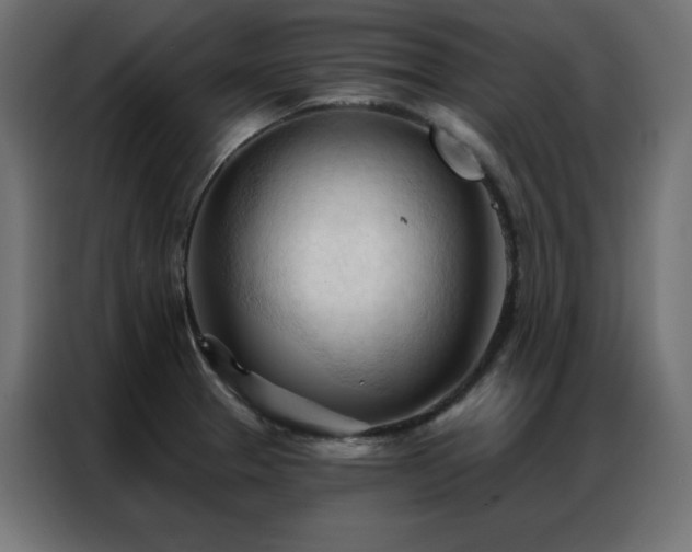 X0000086901329200704161305