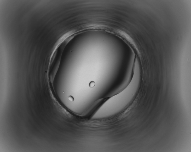 X0000086901330200704161305