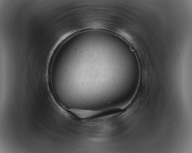 X0000086901331200704161305