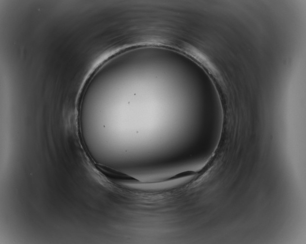 X0000086901332200704161305