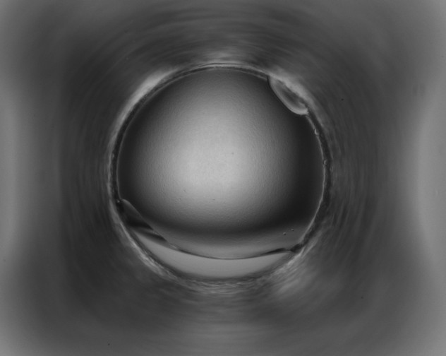 X0000086901333200704161305