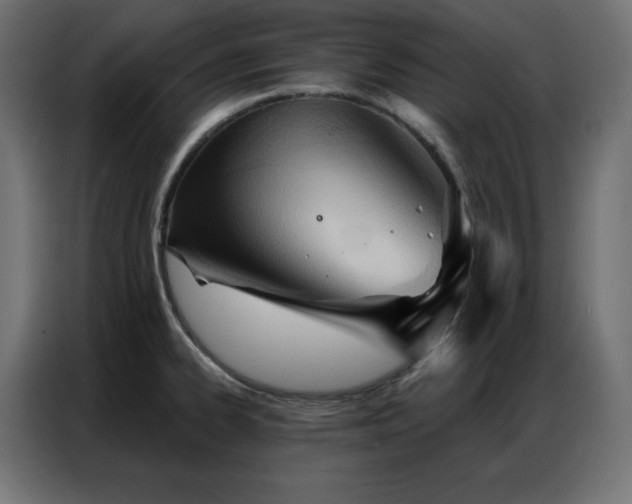 X0000086901334200704161305