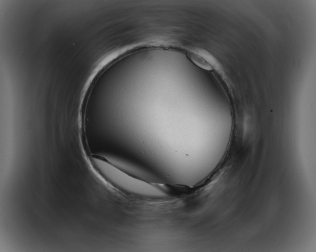 X0000086901335200704161305