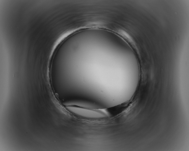 X0000086901336200704161305