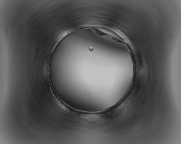 X0000086901337200704161305