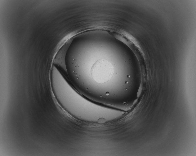 X0000086901338200704161305