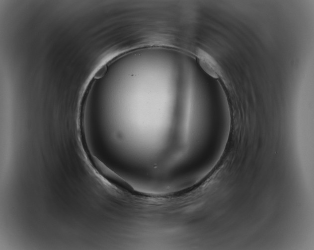X0000086901339200704161305