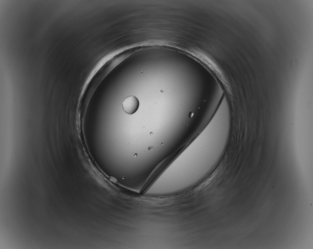 X0000086901340200704161305