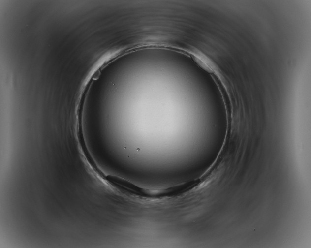 X0000086901341200704161305