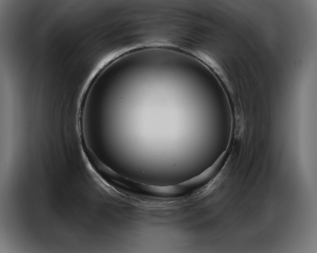 X0000086901342200704161305