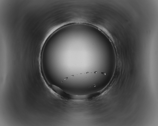 X0000086901343200704161305