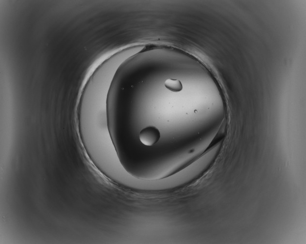 X0000086901344200704161305
