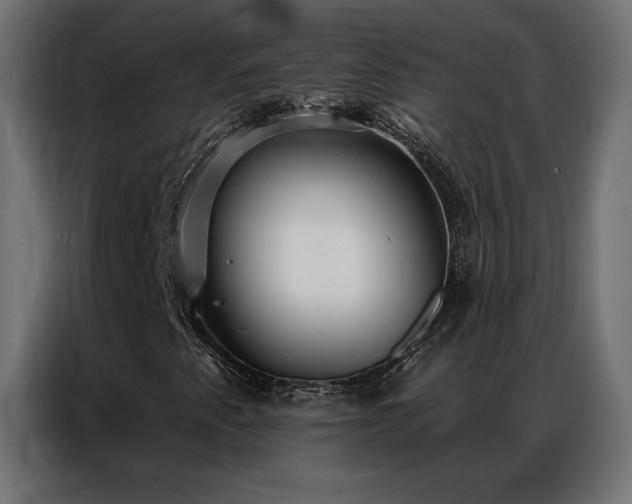 X0000086901345200704161304