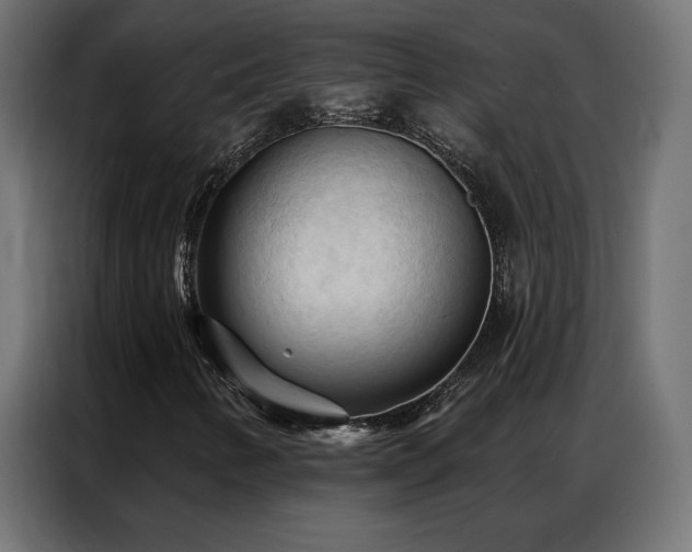 X0000086901346200704161304