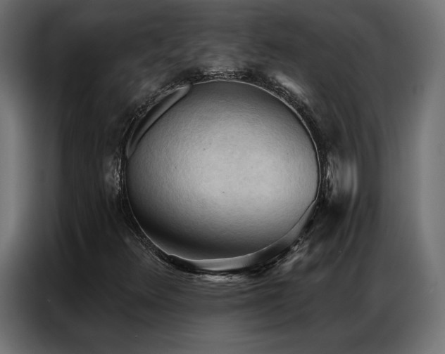 X0000086901348200704161304