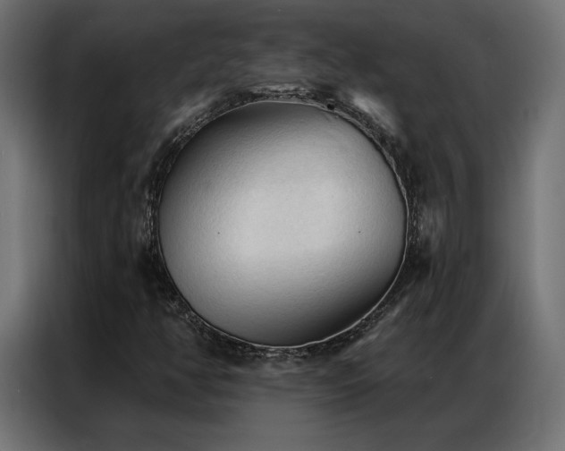 X0000086901350200704161304