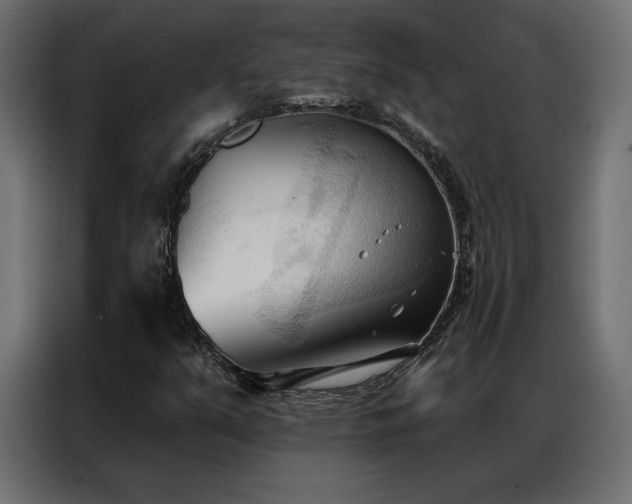 X0000086901351200704161304