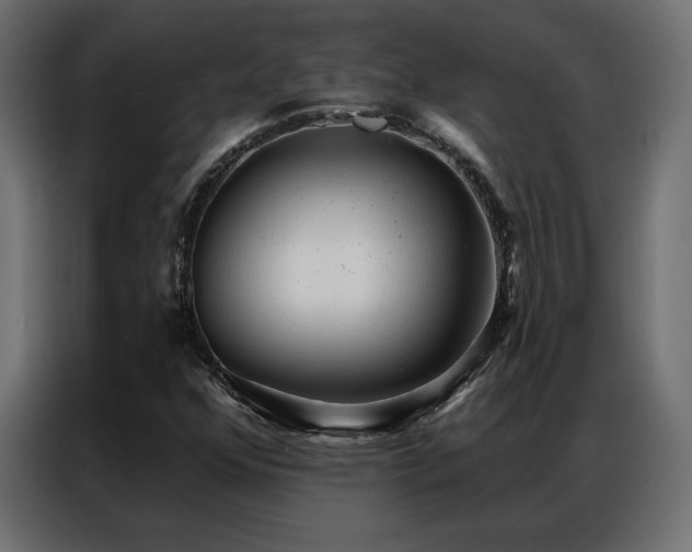 X0000086901352200704161304