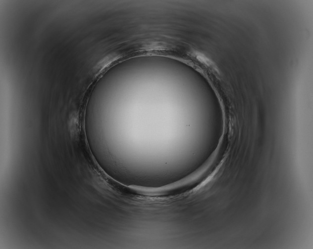 X0000086901353200704161304