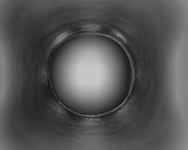 X0000086901354200704161304