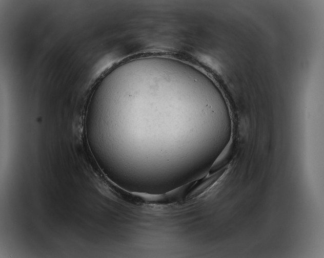 X0000086901355200704161304