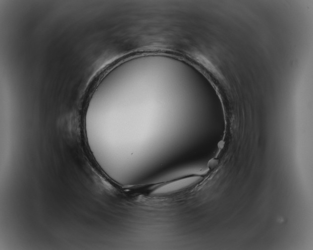 X0000086901356200704161304