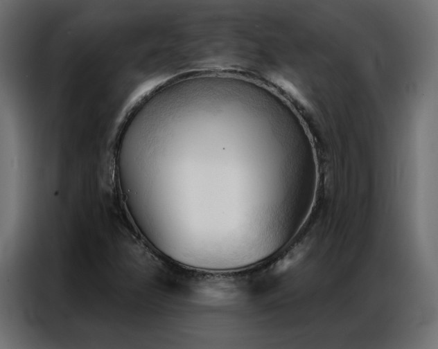 X0000086901358200704161304