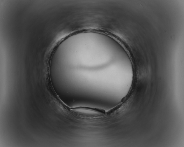 X0000086901359200704161304
