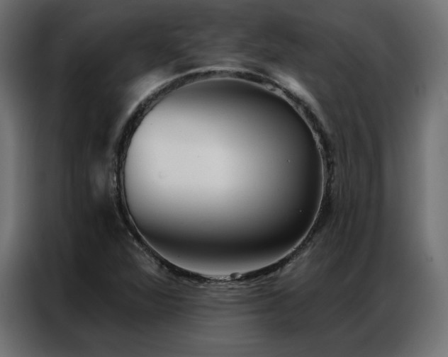 X0000086901360200704161304