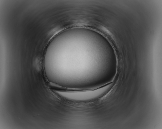 X0000086901361200704161304