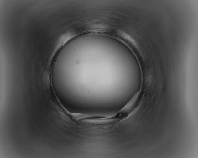 X0000086901362200704161304