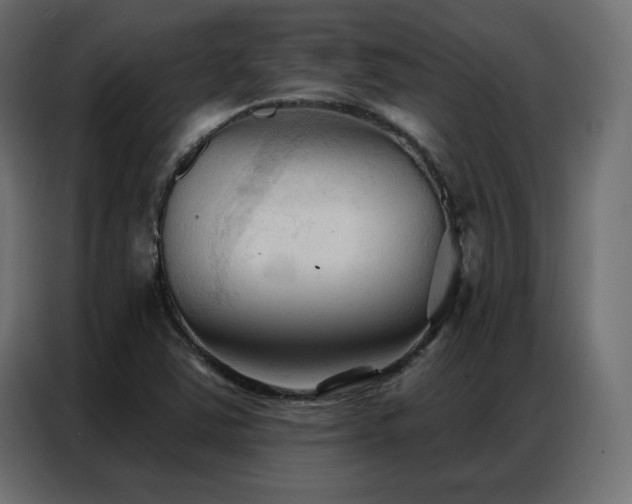 X0000086901363200704161304