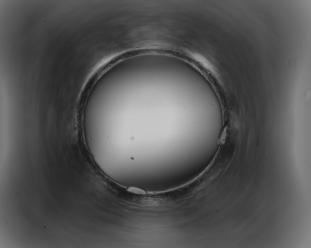 X0000086901364200704161304