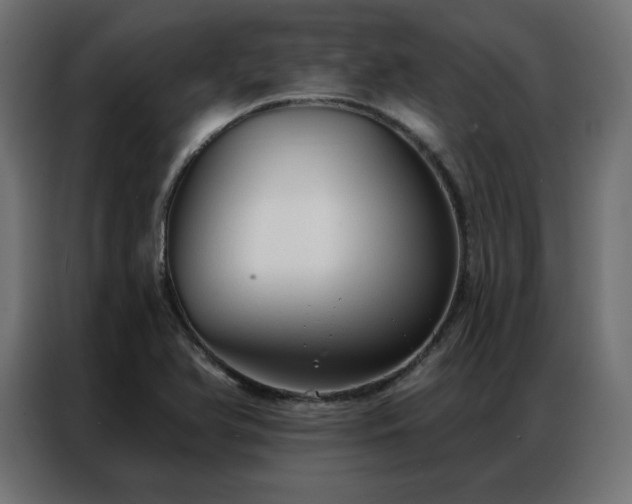 X0000086901366200704161304