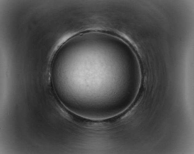 X0000086901367200704161304