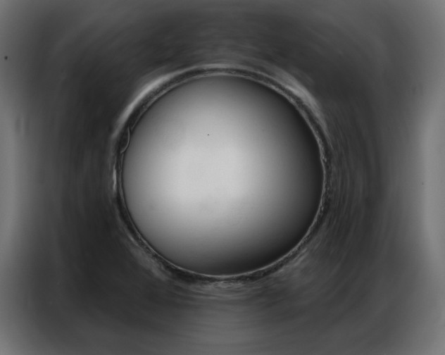 X0000086901368200704161304