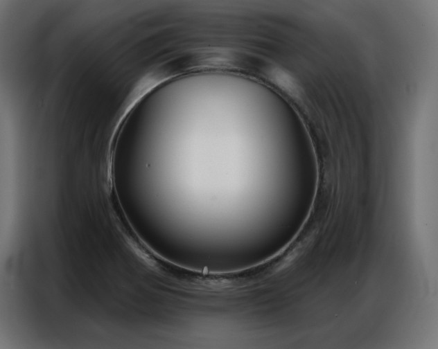 X0000086901370200704161304
