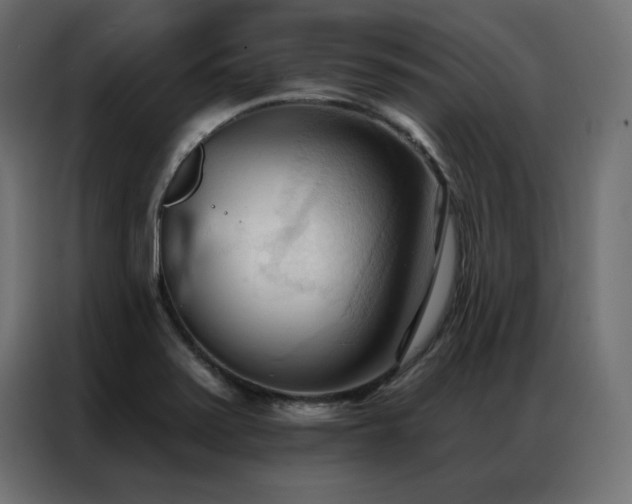 X0000086901371200704161304