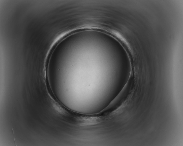X0000086901372200704161304