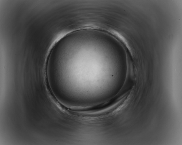 X0000086901373200704161304