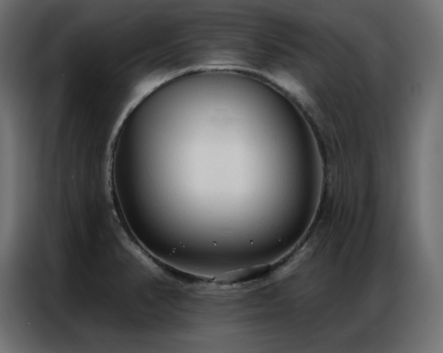 X0000086901374200704161304
