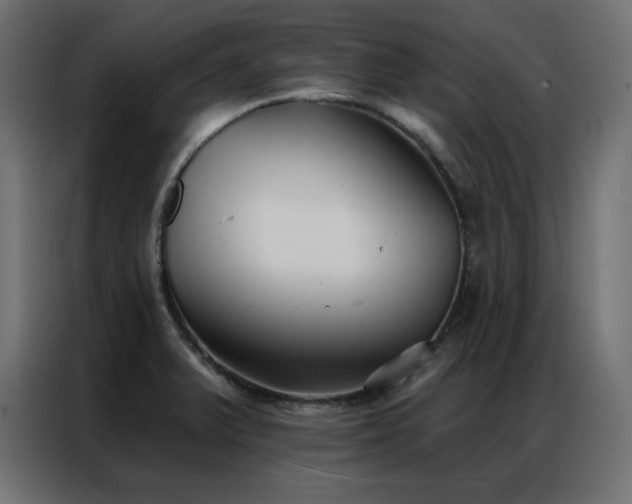 X0000086901375200704161304