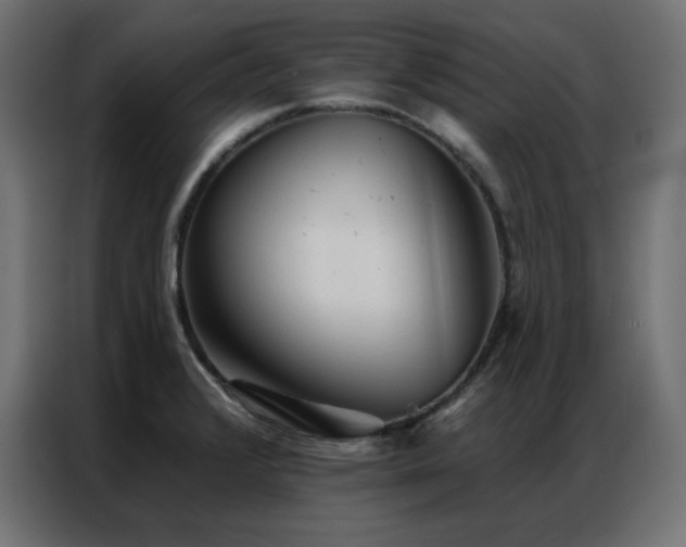 X0000086901376200704161304