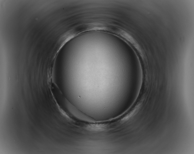 X0000086901377200704161304